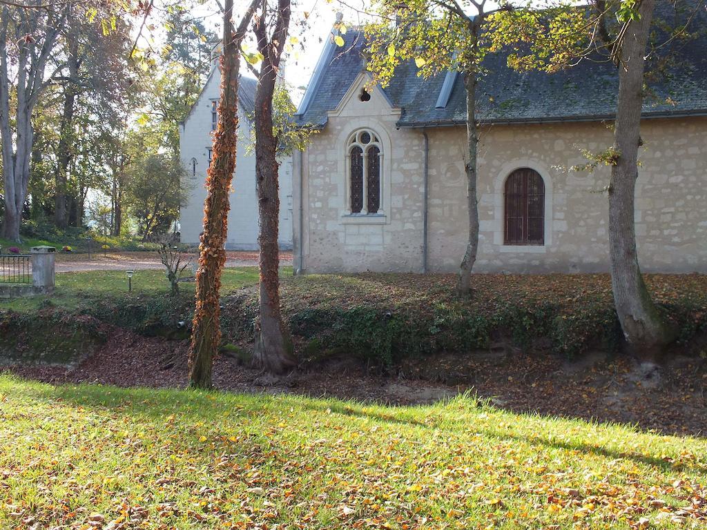 Chateau De Naze Vivy-Saumur Zewnętrze zdjęcie